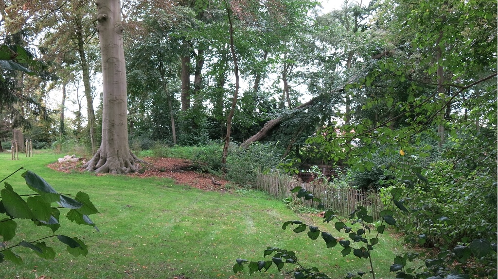 Instapklare Assistentiewoning met TERRAS te huur in Brugge